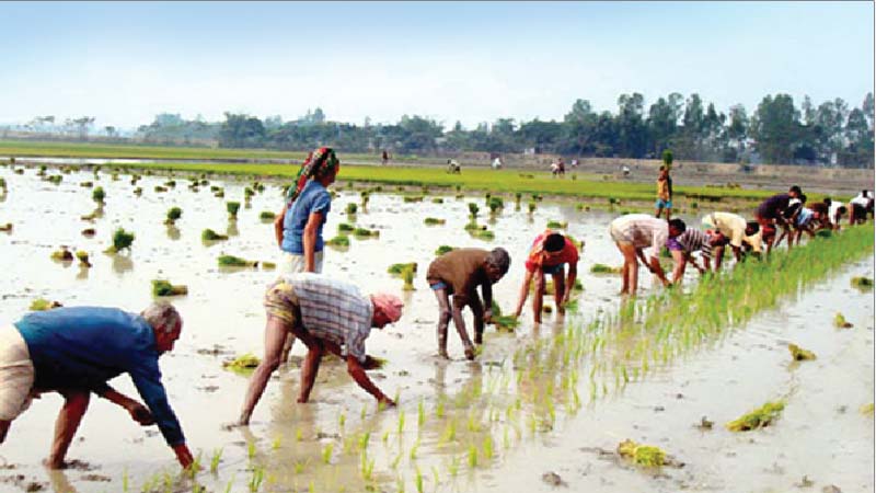Reducing poverty in Bangladesh