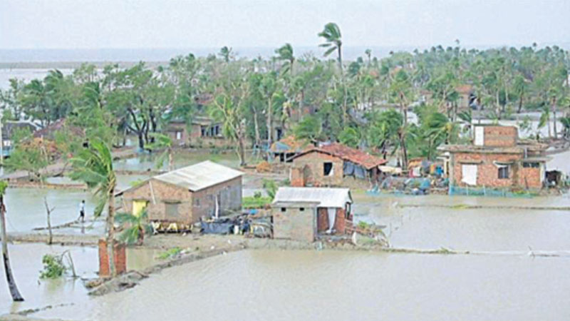 Rehabilitate properly 
people hit by Bulbul