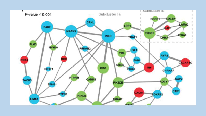 Researchers uncover molecular mechanisms linked to autism and schizophrenia