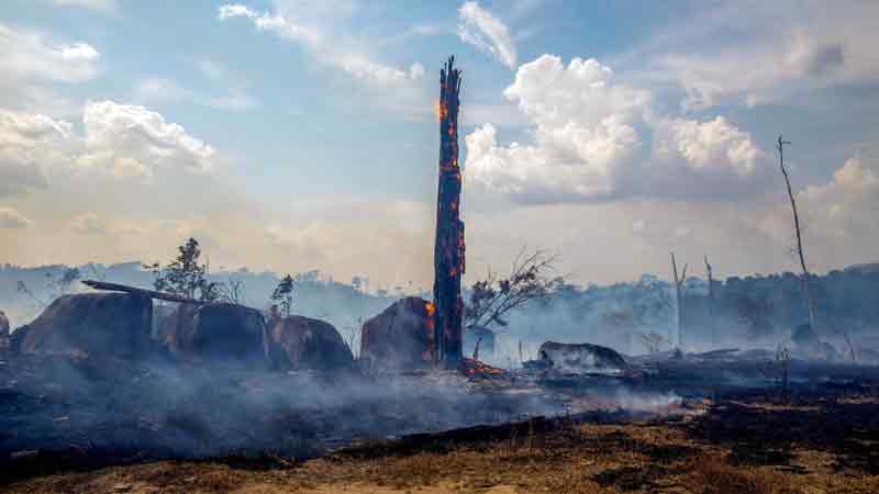 Respiratory ailments rise as Amazon fires rage