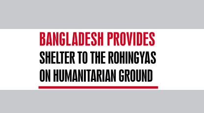 Rohingya a big burden for Bangladesh, says PM