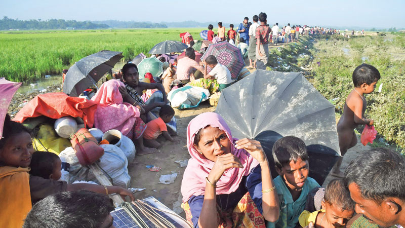 Experts stress on greater int’l efforts to resolve Rohingya issue
