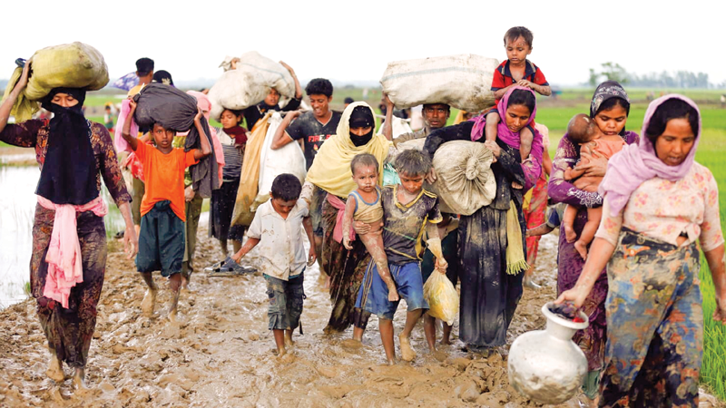 Rohingyas must not be repatriated forcefully