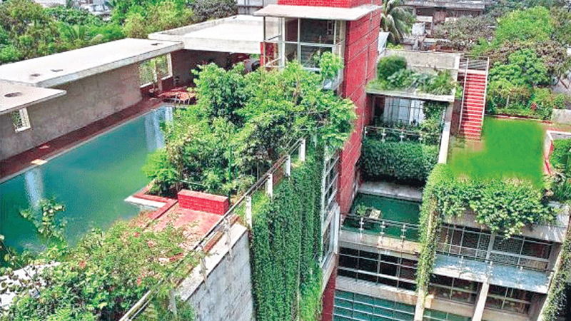 A little patch of green on top