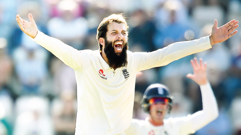 Root revels in India series win