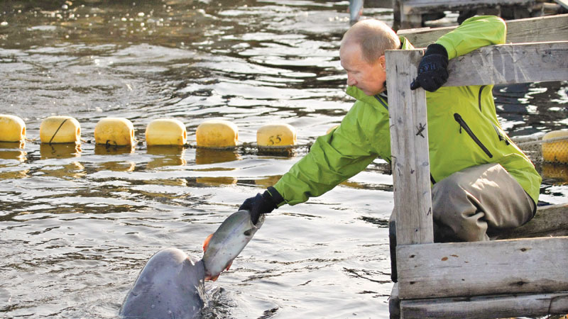 Activists sound alarm over 
Russia’s whale trade