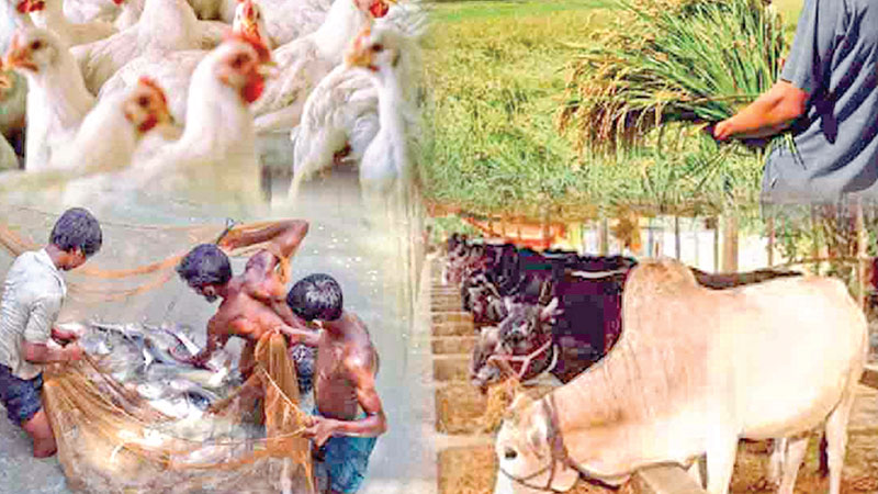 Digitisation of SMEs: Opportunity 
or challenge? 