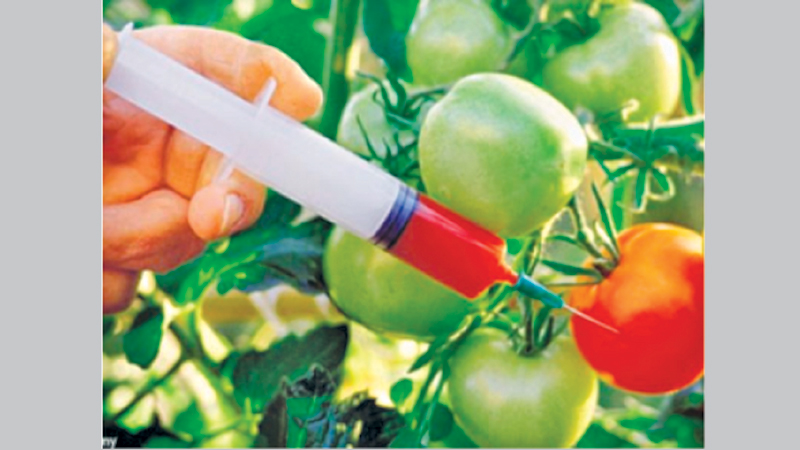 Safety concern about GM crops