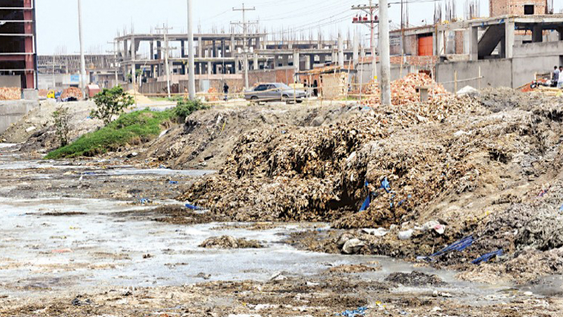 Savar tanneries also degrading environment