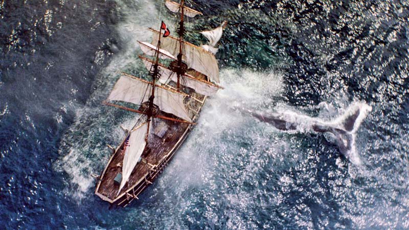 Screening of �In the Heart of the Sea� continues at Star Cineplex