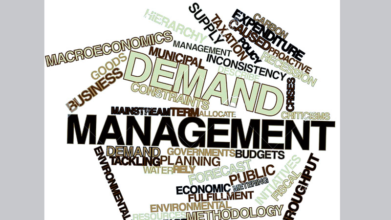 Seasonal products: Demand 
and management 