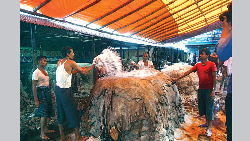 Rawhide processing 
remains a challenge