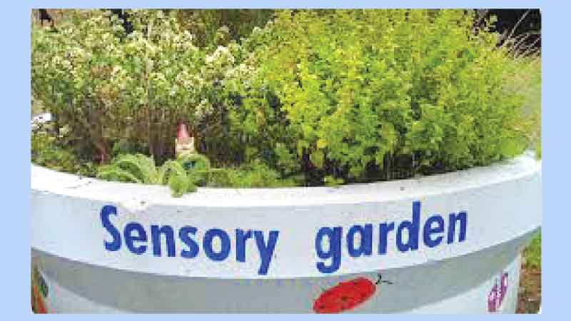Sensory Park for the children with Autism