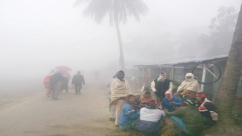 Severe cold, dense fog make life miserable in districts