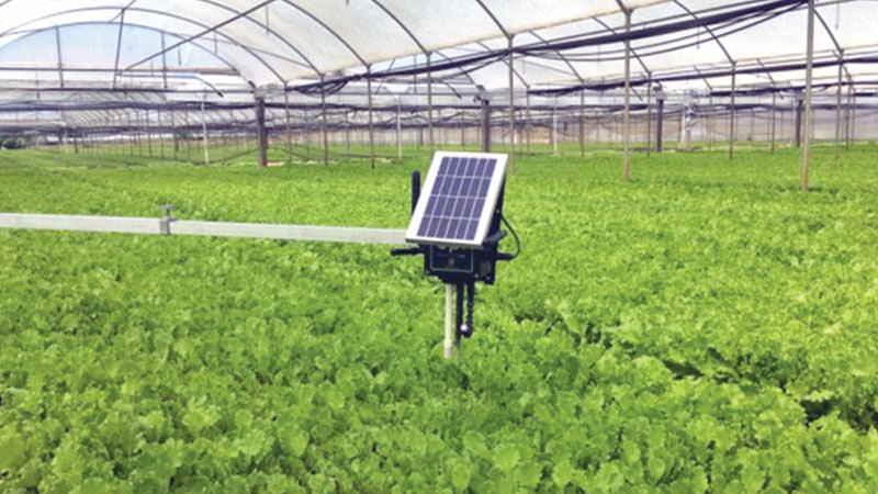 Smart solutions in agriculture: Prospect and challenge 