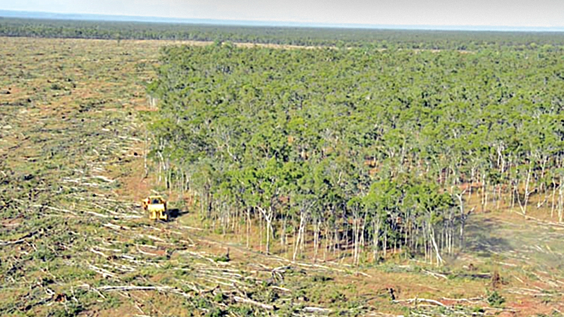 Soaring deforestation new threat to Great Barrier Reef