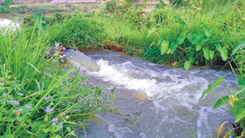 Soil pollution, a consequence of environmental misdeeds