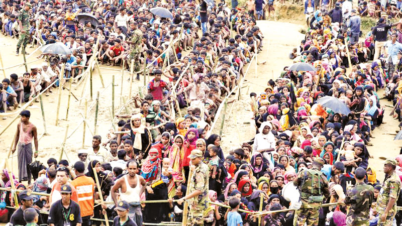 Solid action needed for Rohingya issue! 
