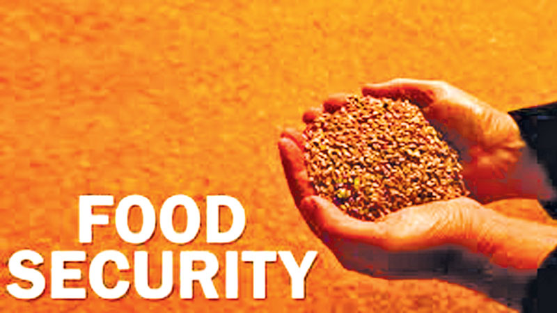 Stress on crop output to ensure food security
