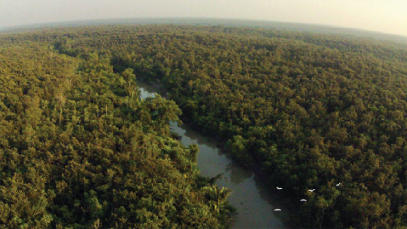 Saving the Sundarbans