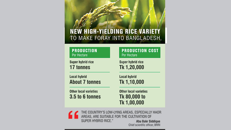 ‘Super rice’ beckons farmers 
