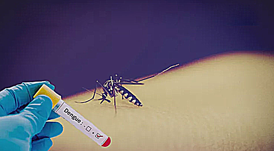 High level research team visits Barishal