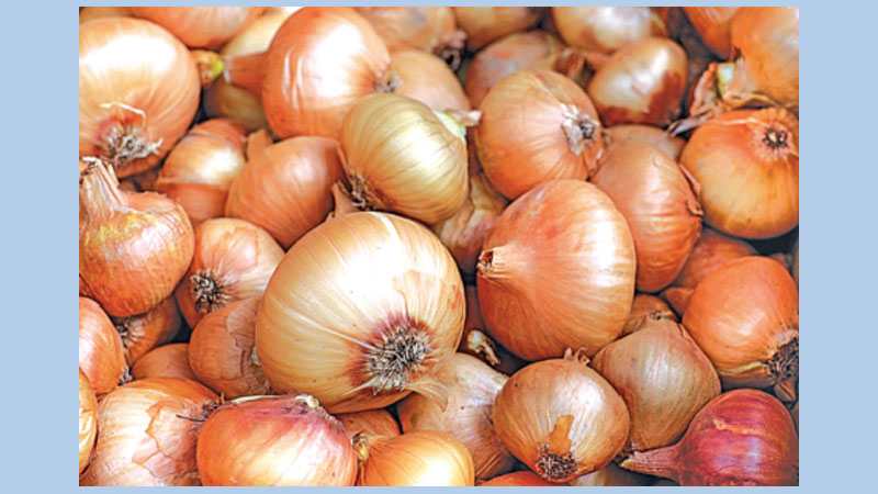 TCB to begin truck sale of onion in 
city today