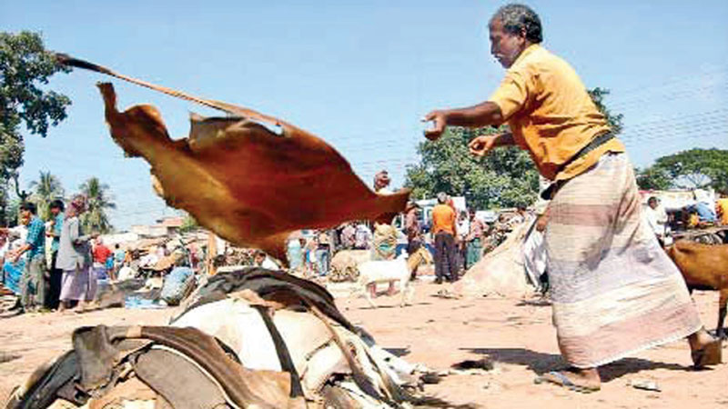 Low prices of rawhide cause worry
