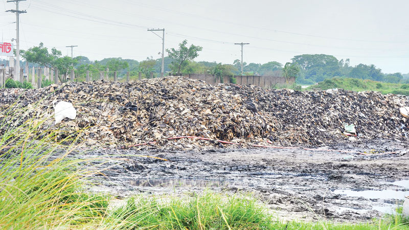 Tannery pollution in Savar too 
