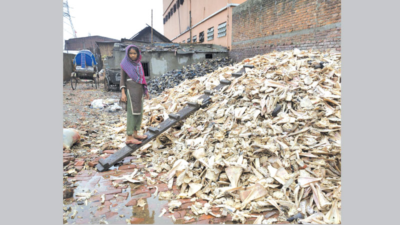 Tannery owners skip one more deadline