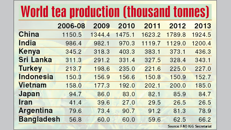 Roadmap to revive 
tea production