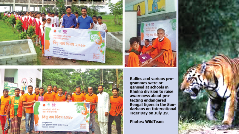 Teen Archaeologist Finds Half-Million-Old Tooth 