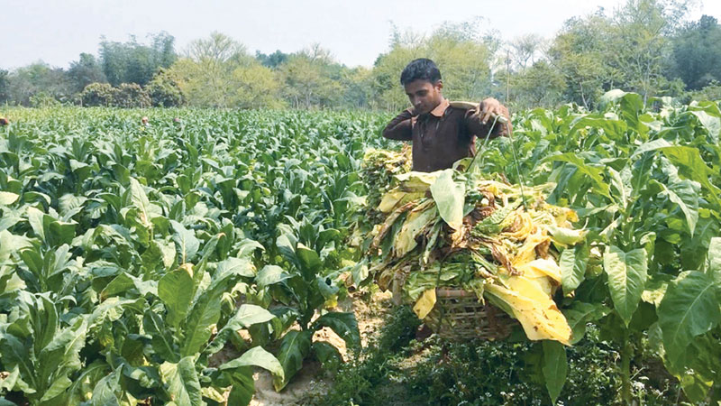 Health Development Surcharge in Bangladesh