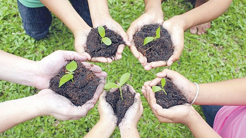 Tree plantation is essential to 
combat climate change