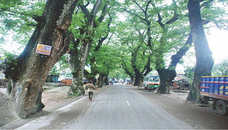 Stop destruction of forest resources