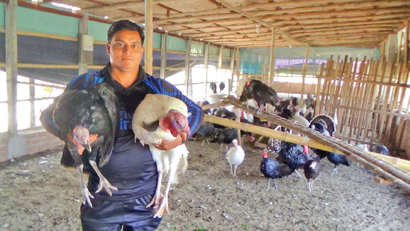 Turkey farming gains ground 