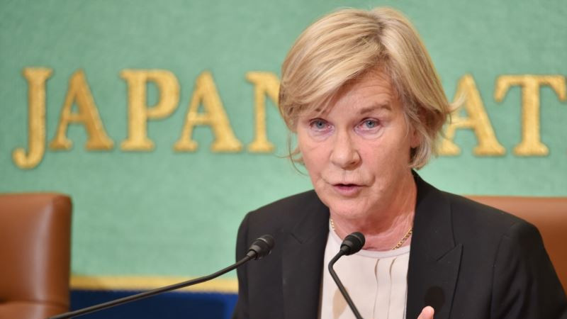 Children risk being ‘commodities’ as surrogacy spreads: UN expert