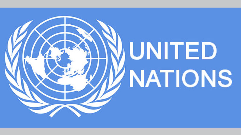 India should not send back Rohingyas: UN
