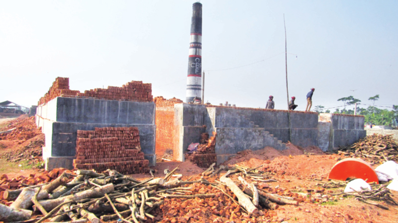 Unlicenced brick-fields in Shariatpur damage crops