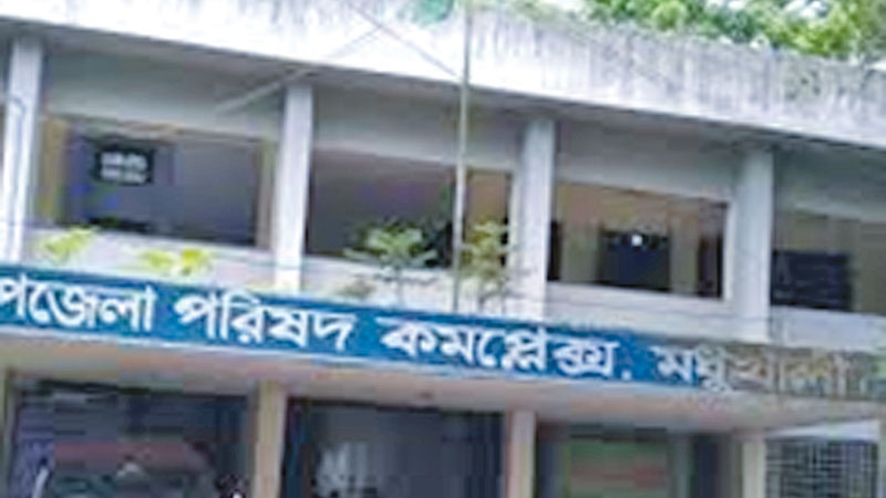 Upazila Parishad committee system: Effectiveness underscored