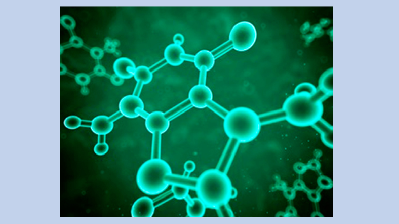 Valproic acid exposure results in characteristics linked to autism