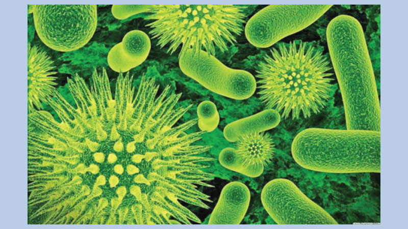 Viral infections