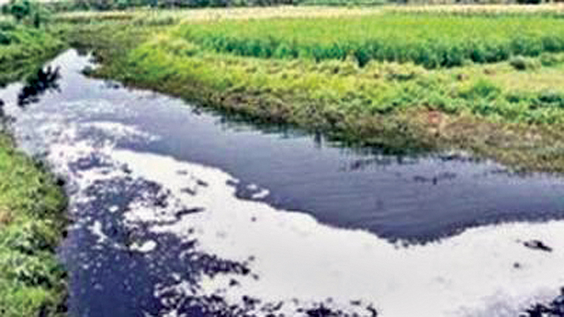 Wastes pollute rivers, water 
bodies in Rajshahi