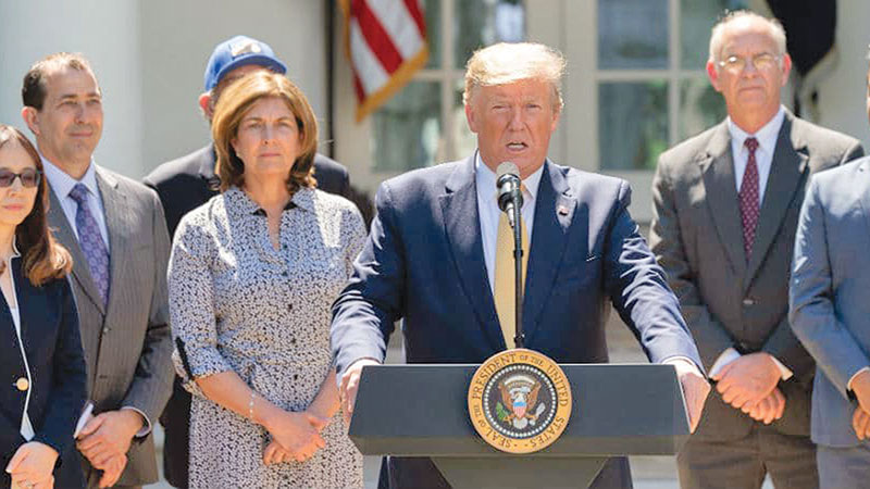 Who can beat Trump in 2020?