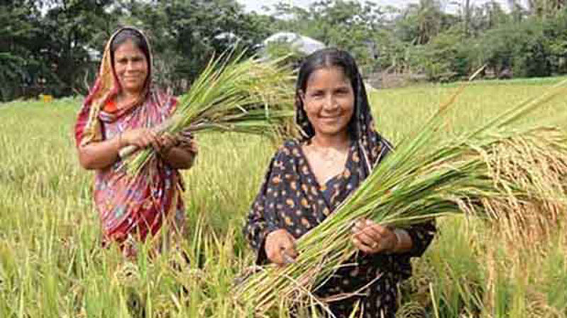 Women farmers need responsive media support, say experts
