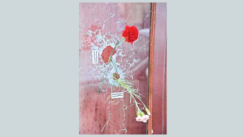 World sings, lights up in solidarity 