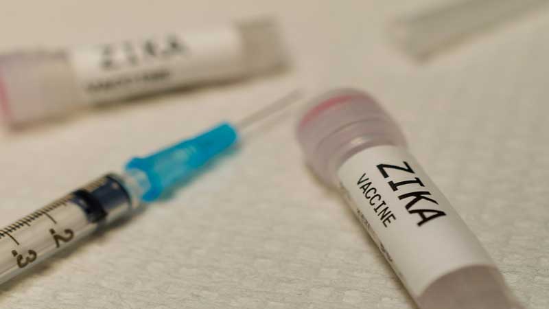 Zika vaccine 'works very well' in mice