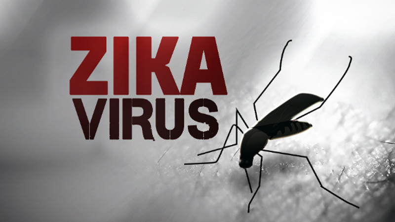 Zika virus: 'strongest evidence yet' of effect on babies