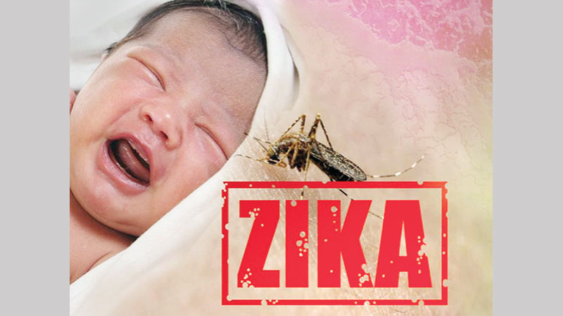 Some pregnant women still 
travel to Zika-affected areas
