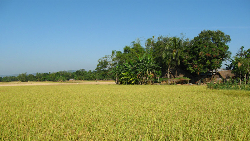 Law for protecting 
agricultural land  